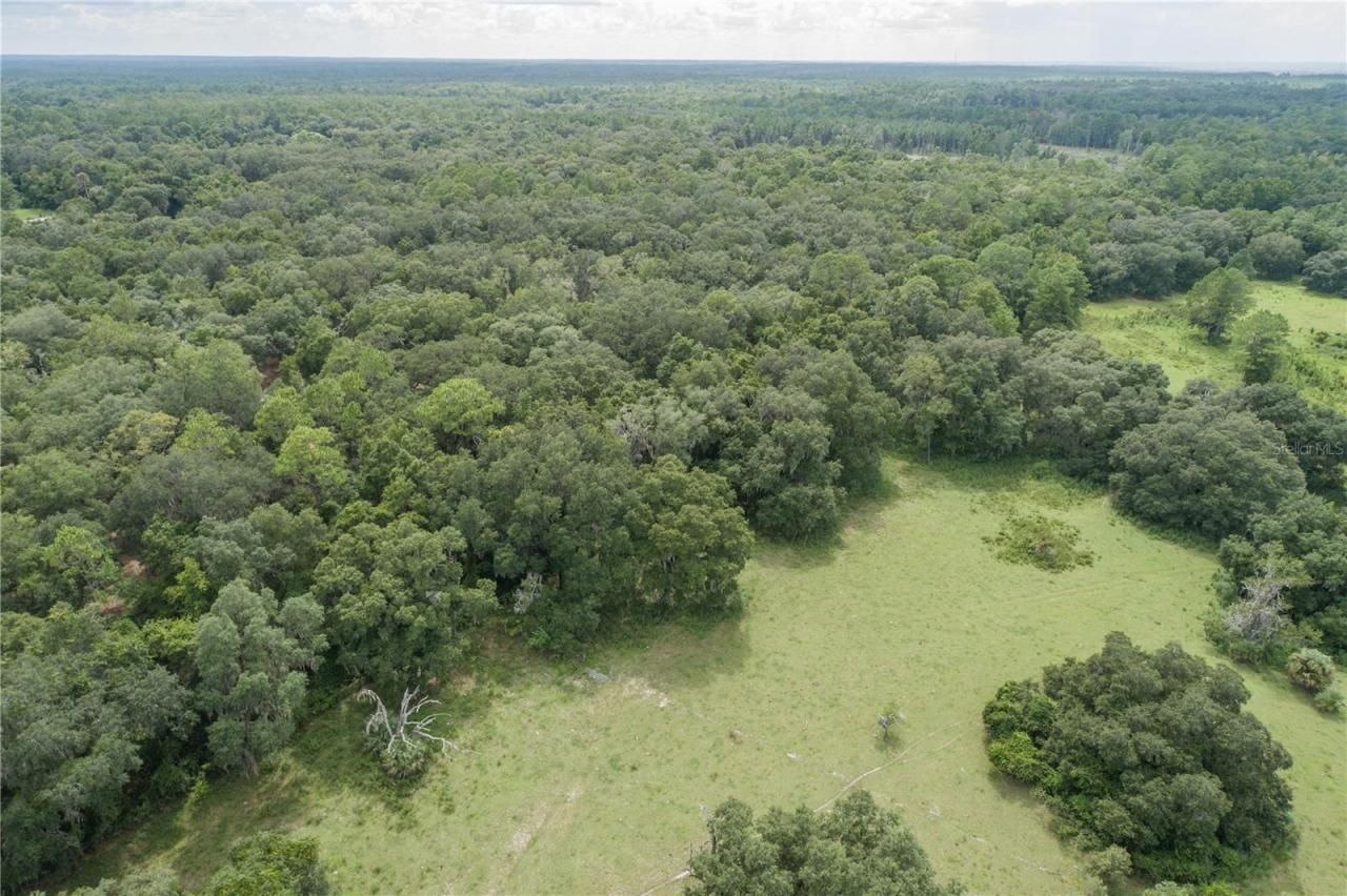 18001 SE Hawthorne Road, Hawthorne, FL 32640 Photo