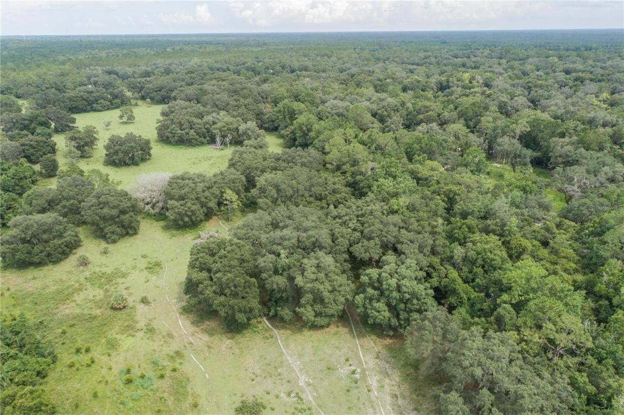 18001 SE Hawthorne Road, Hawthorne, FL 32640 Photo