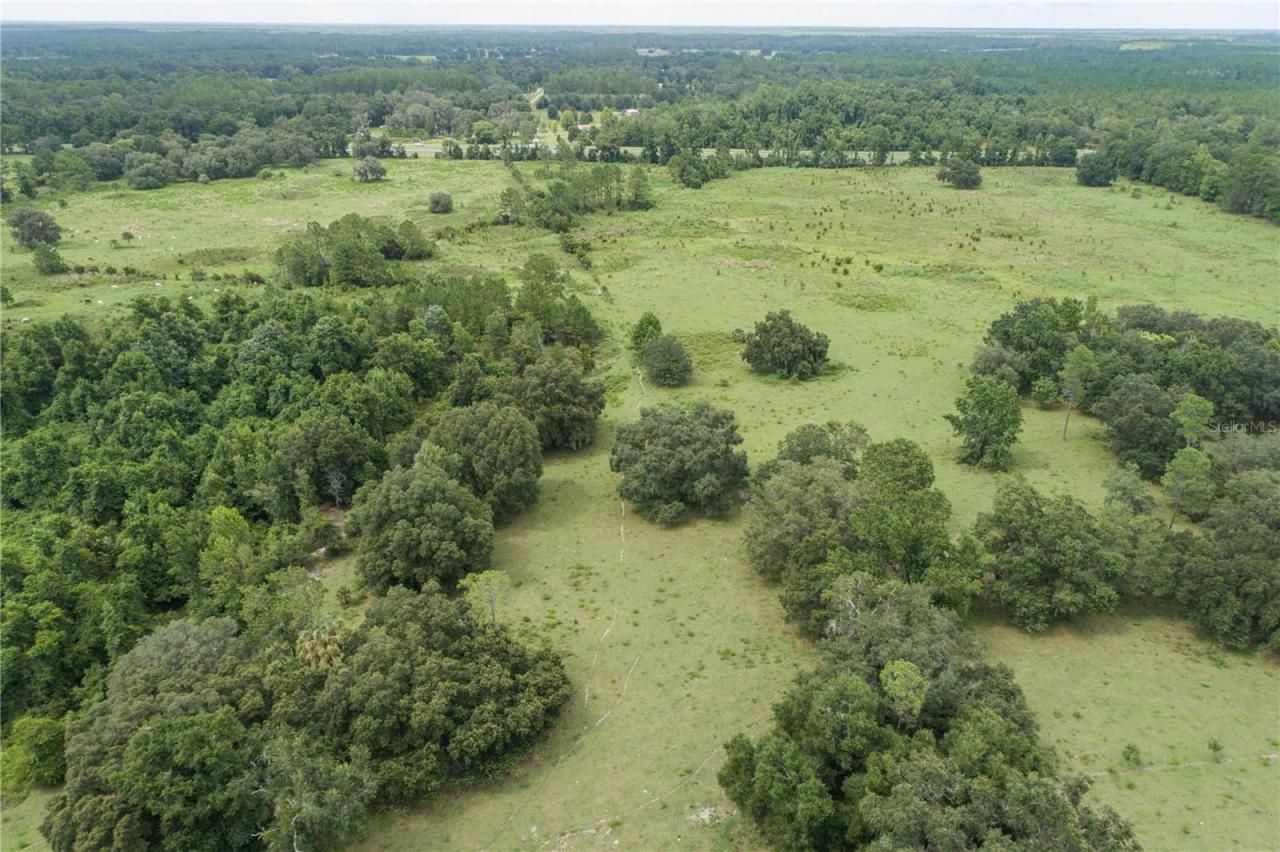 18001 SE Hawthorne Road, Hawthorne, FL 32640 Photo