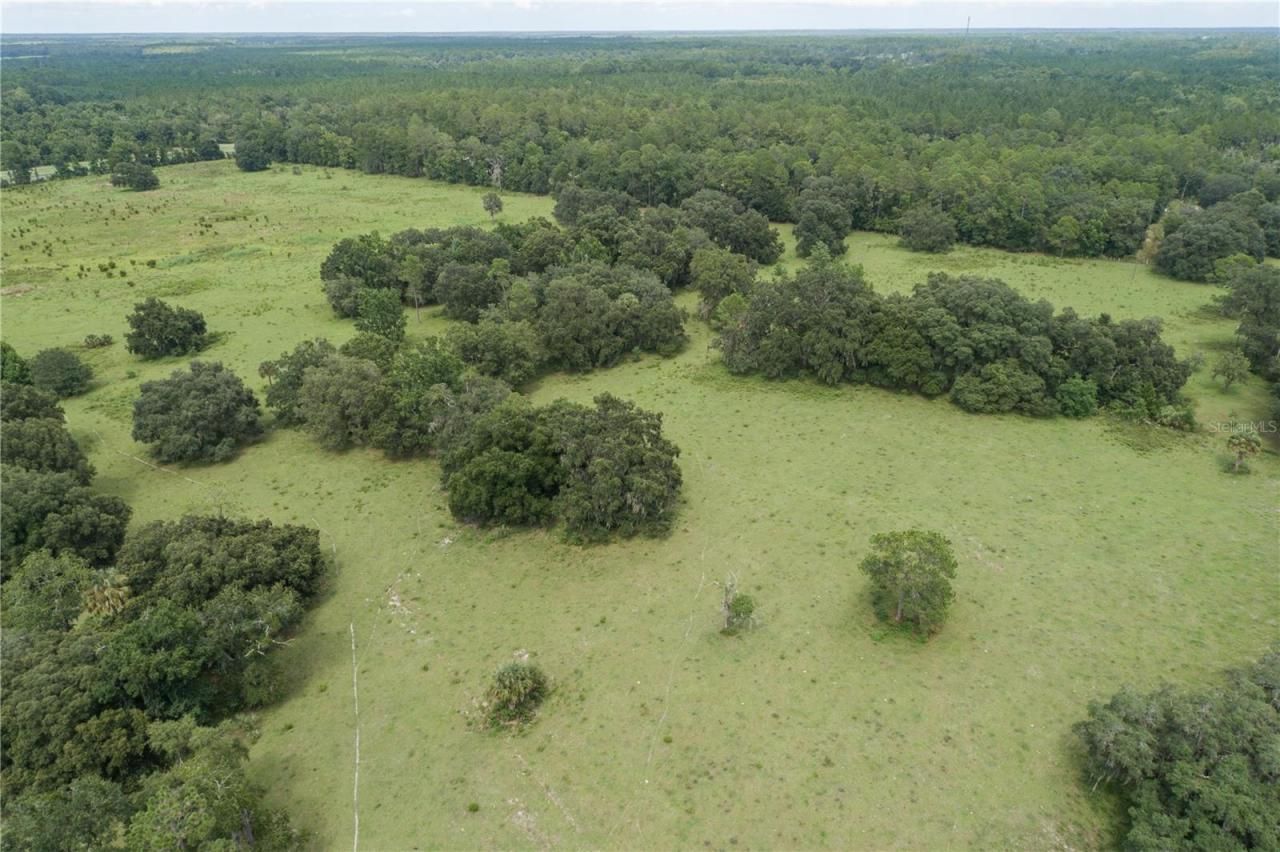 18001 SE Hawthorne Road, Hawthorne, FL 32640 Photo