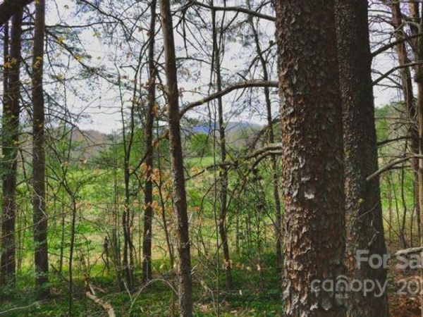 0 Westridge Drive, Lake Lure, NC 28746