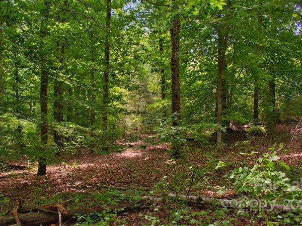 0 Midnight Pass, Rutherfordton, NC 28139