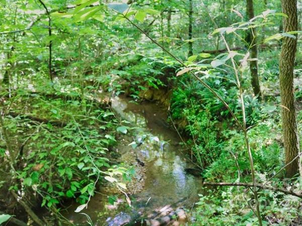 0 Woodstock Lane, Rutherfordton, NC 28139