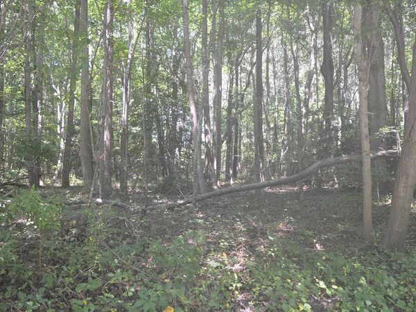 Lot 23 Prentice Point Drive, KILMARNOCK, VA 22482