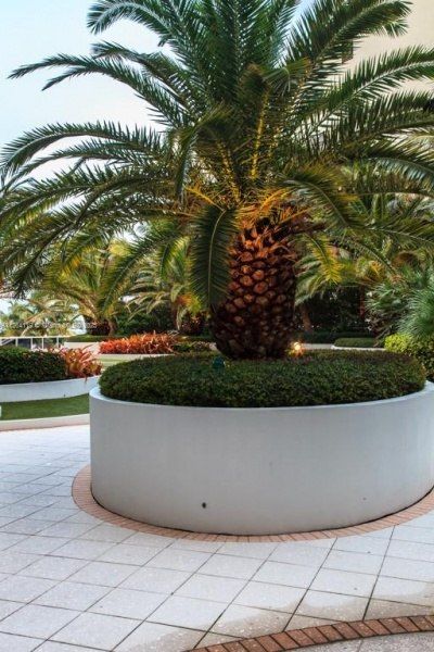 100 Lincoln Rd, Unit 943, Miami Beach, FL 33139 Photo