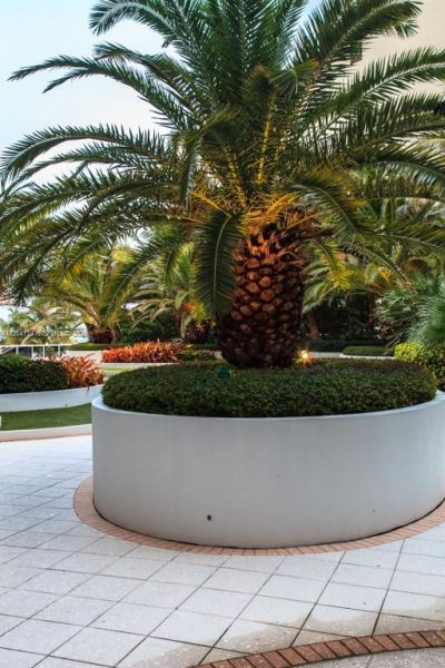 100 Lincoln Rd, Unit 943, Miami Beach, FL 33139 Photo