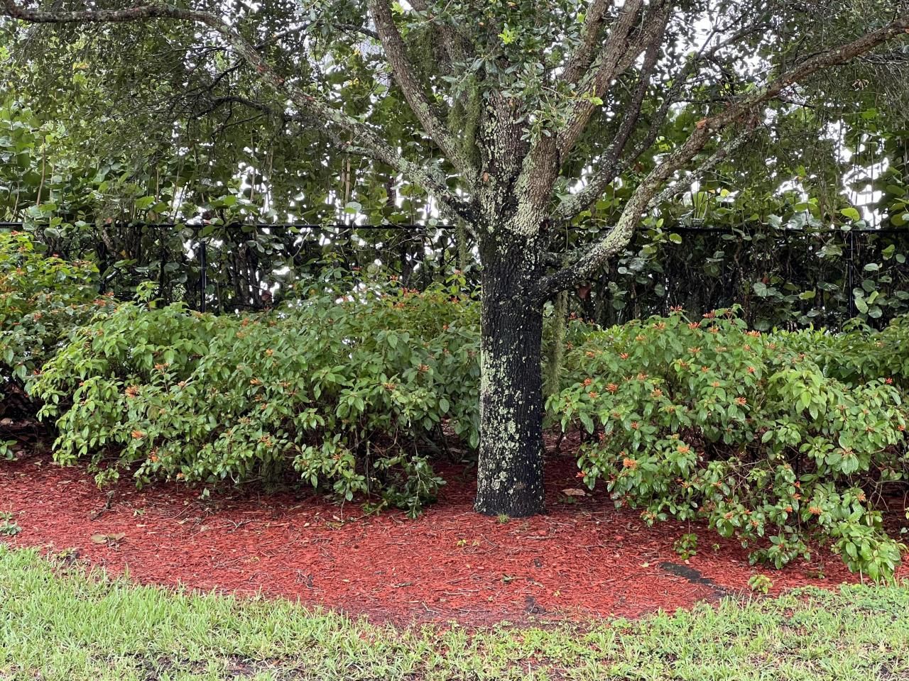 2826 Bellarosa Circle, Royal Palm Beach, FL 33411 Photo