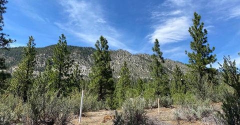 122 Chamberlain Court, Carson City, NV 89705 Photo