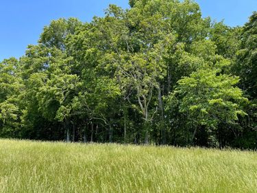 77 Meadows Loop, Russell Springs, KY 42642