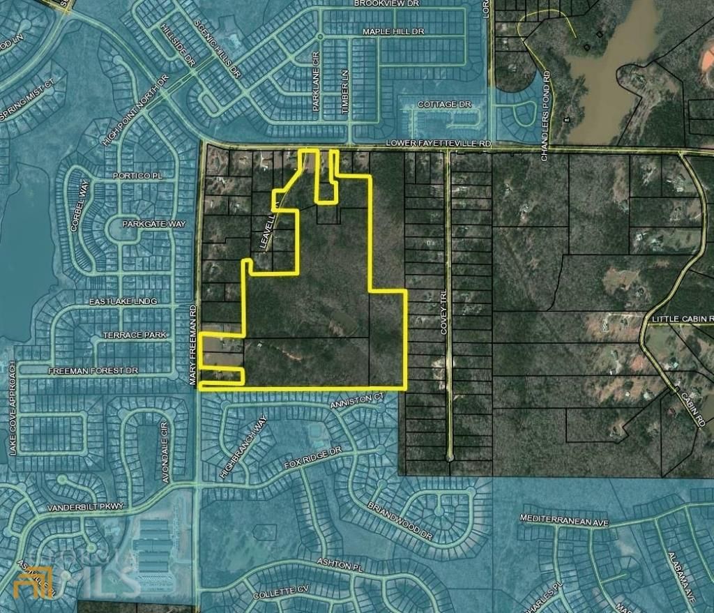 0 Mary Freeman Road, Newnan, GA 30265 Main Photo