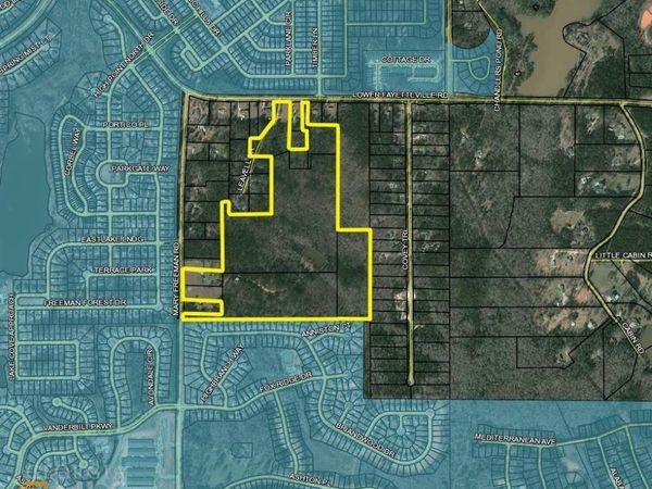 0 Mary Freeman Road, Newnan, GA 30265