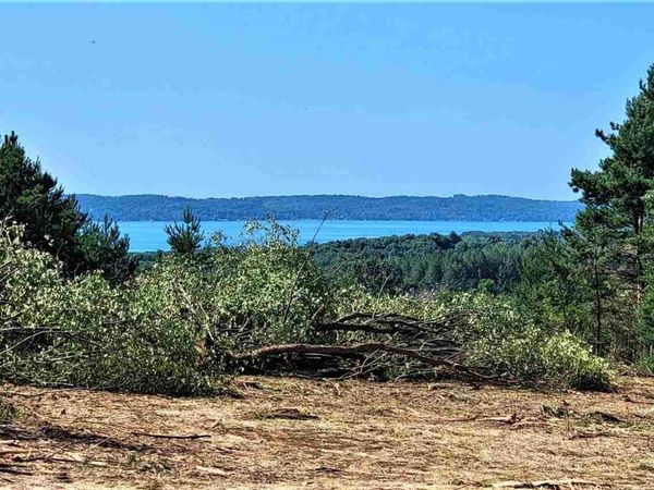 Parcel C Cemetery Road, Unit C, Alden, MI 49612