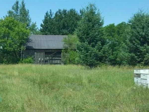 Parcel B Cemetery Road, Unit B, Alden, MI 49612