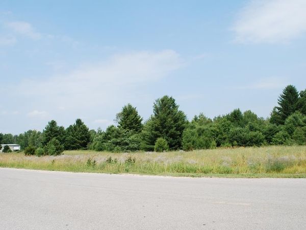 TBD US 131, Unit @ M-32, So, Elmira, MI 49730