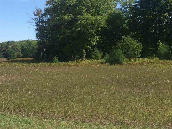 7325 Keystone Park Drive, Unit 18, Alanson, MI 49706