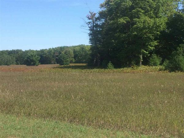 7313 Keystone Park Drive, Unit 20, Alanson, MI 49706