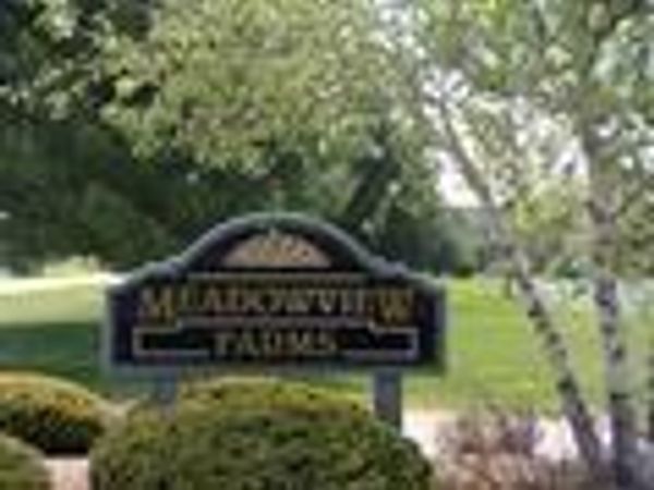 7238 Rolling Meadow Trail, Unit Lot 19, Harbor Springs, MI 49740