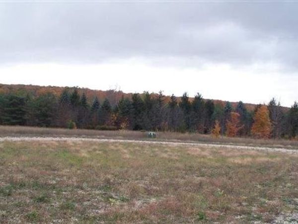 8139 Bluebird Lane, Unit Lot 17, Alanson, MI 49706