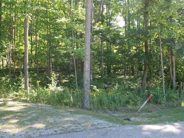 TBD Wintergreen, Harbor Springs, MI 49770