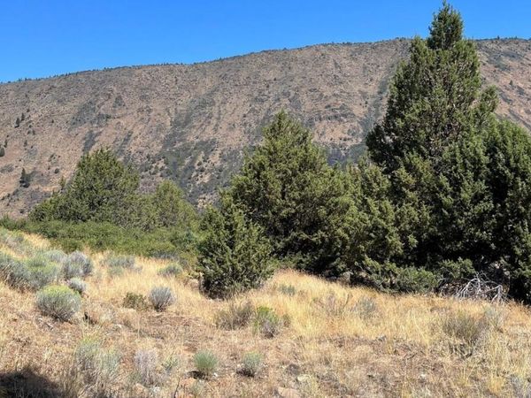 Lot 44 Peregrene Heights, Klamath Falls, OR 97601