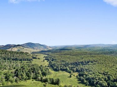 1303 Sinks Road, Harman, WV 26270