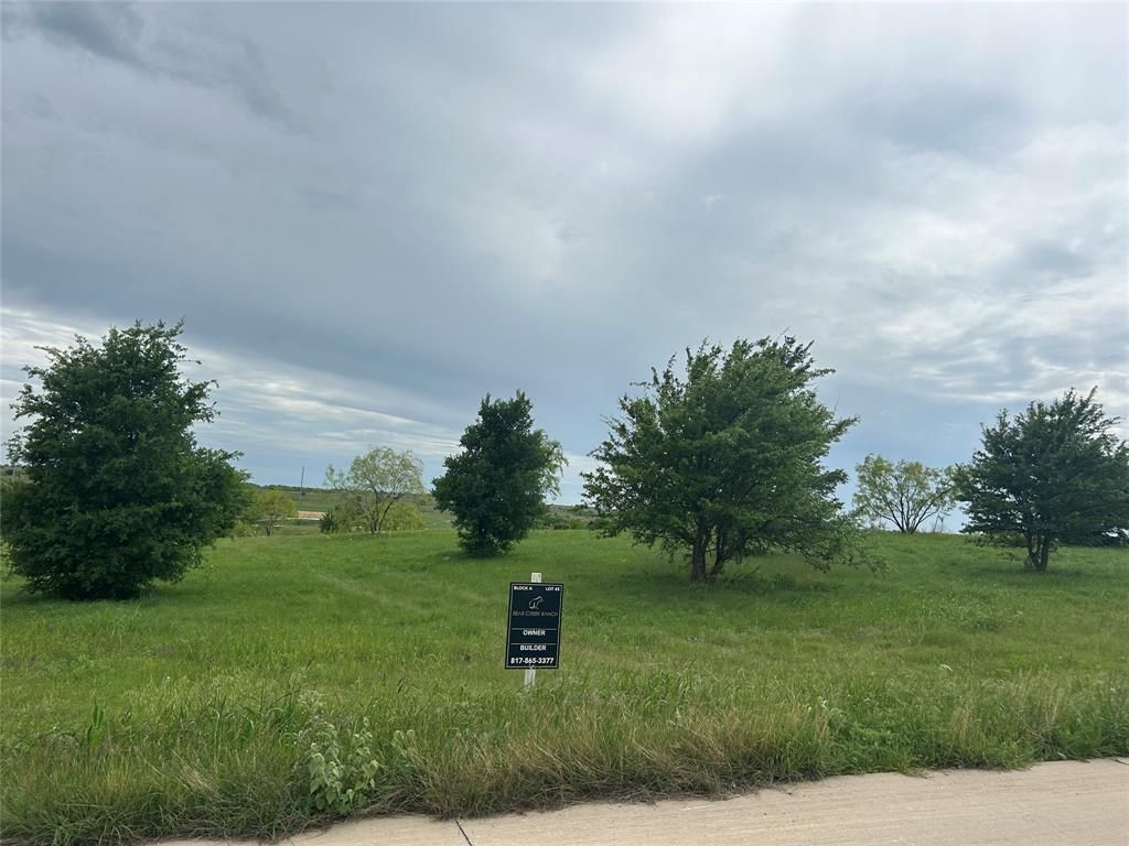 2040 Hidden Bluff Drive, Aledo, TX 76008 Main Photo