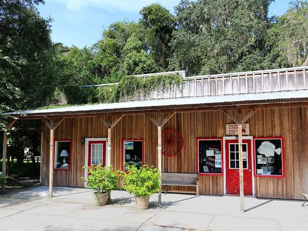 110 NE 1ST STREET, MICANOPY, FL 32667