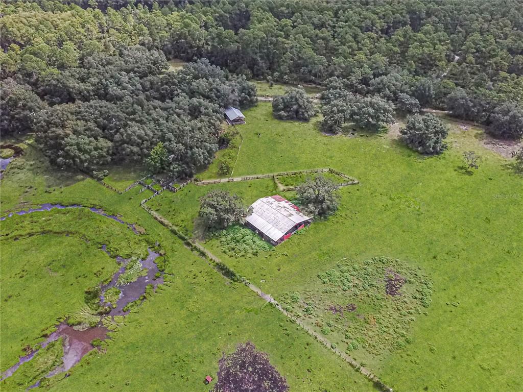 3350 NE 125th Terrace Road, Silver Springs, FL 34488 Photo