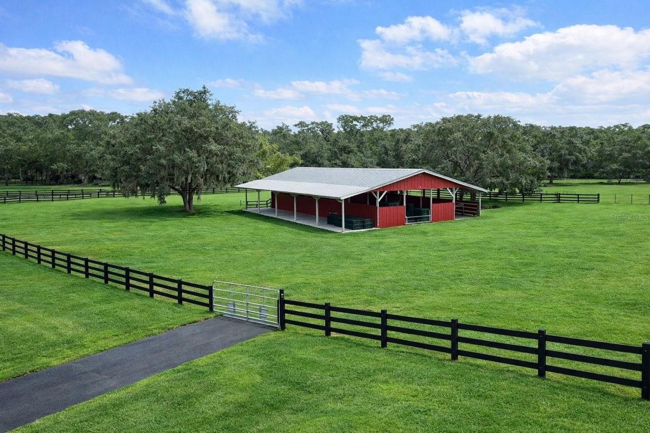 3350 NE 125th Terrace Road, Silver Springs, FL 34488 Photo