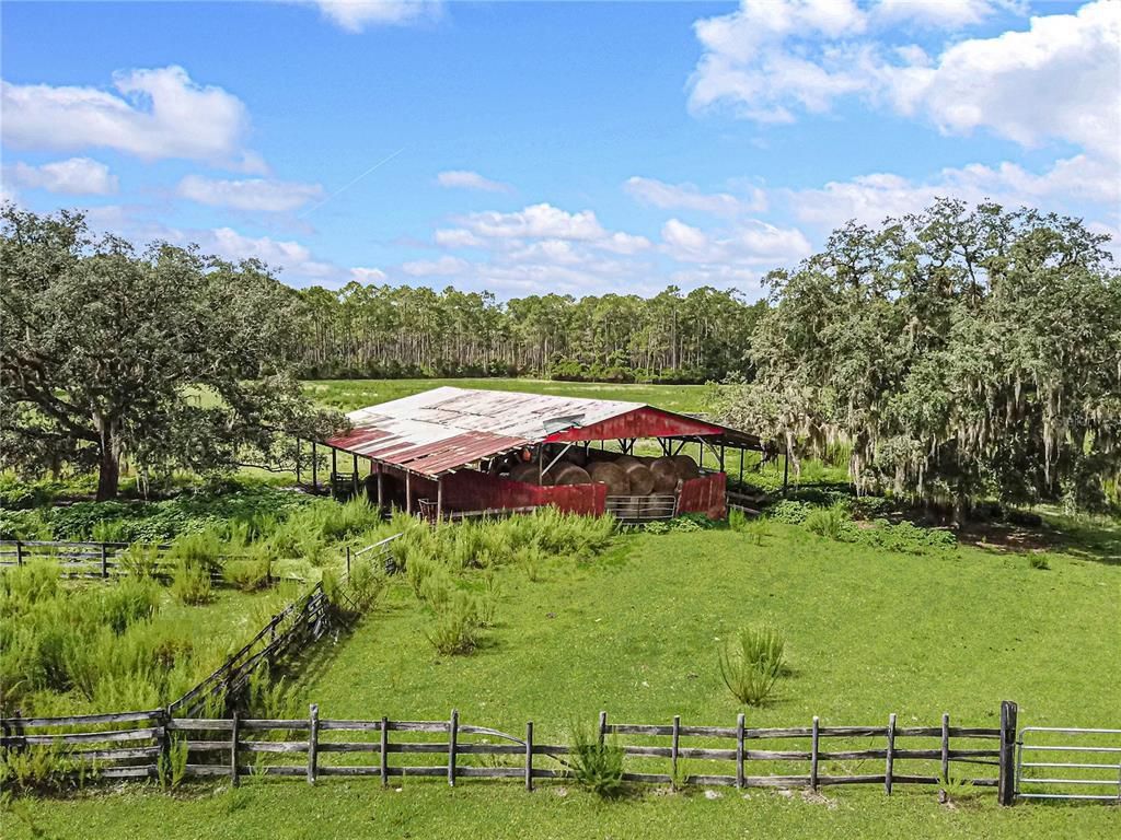 3350 NE 125th Terrace Road, Silver Springs, FL 34488 Photo