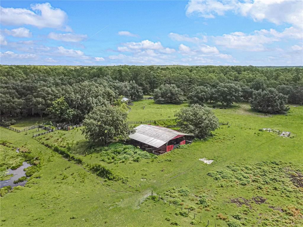 3350 NE 125th Terrace Road, Silver Springs, FL 34488 Photo