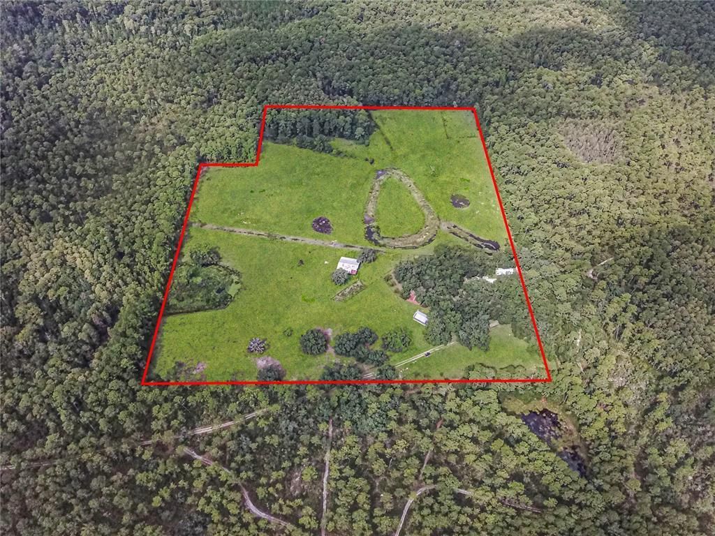 3350 NE 125th Terrace Road, Silver Springs, FL 34488 Photo