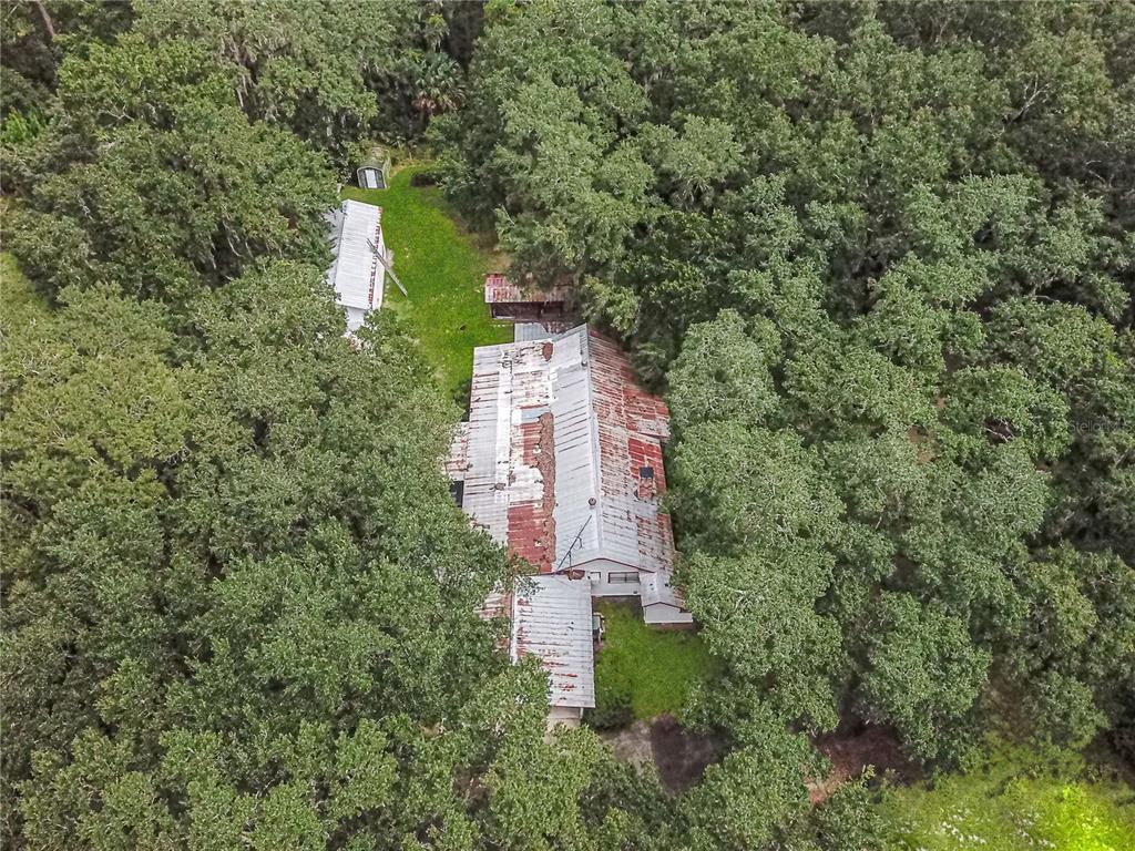 3350 NE 125th Terrace Road, Silver Springs, FL 34488 Photo