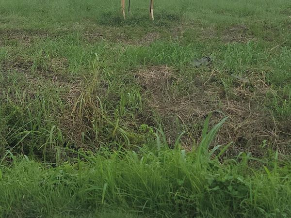 Tbd N Us 167 Hwy 10, Opelousas, LA 70570