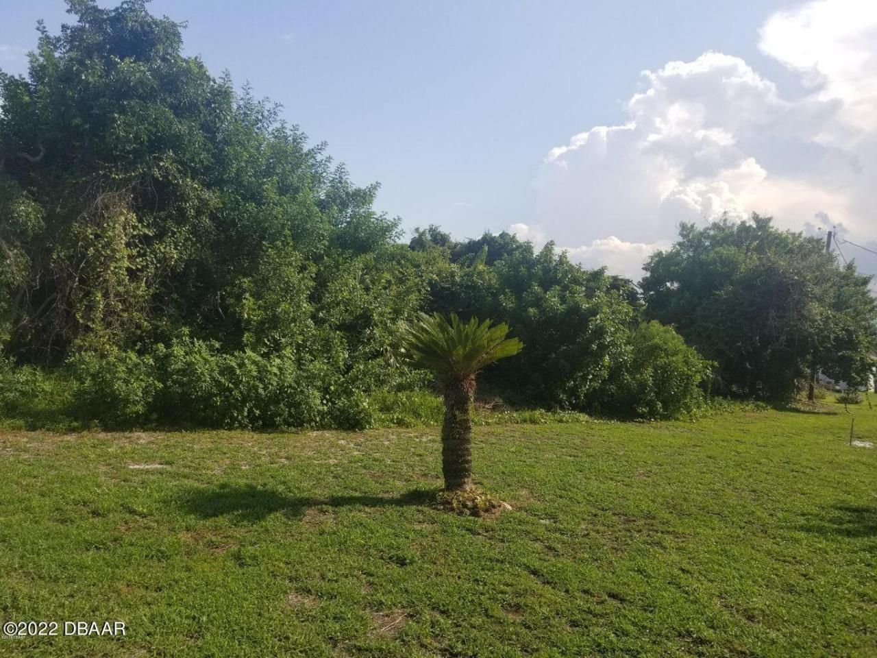 4570 S Peninsula Drive, Ponce Inlet, FL 32127 Photo