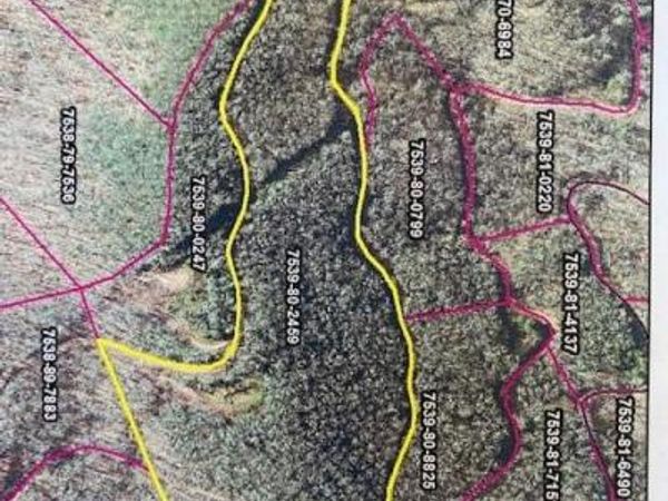 Lot64 Mountain Forest Estates Road, Jackson, NC 28779