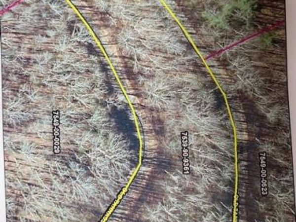 Lot 48 Mountain Forest Estates Road, Sylva, NC 28779
