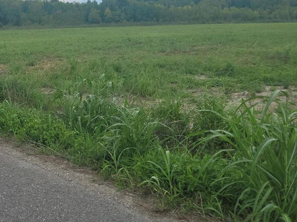 Tbd La-10, Opelousas, LA 70570