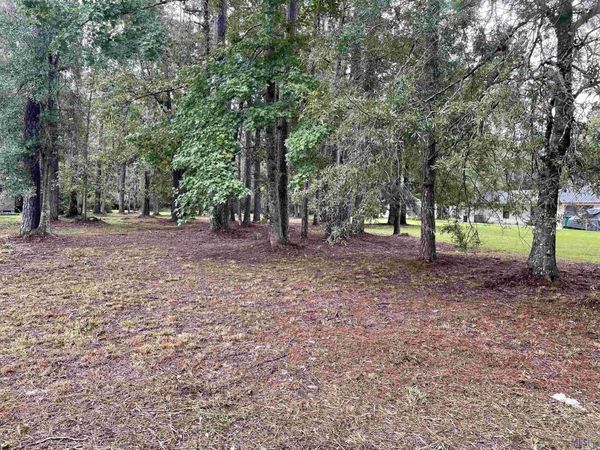 31387 River Pines Dr, Springfield, LA 70462