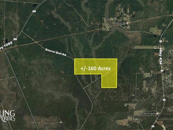 BEAVER BALL Road, Lacombe, LA 70445