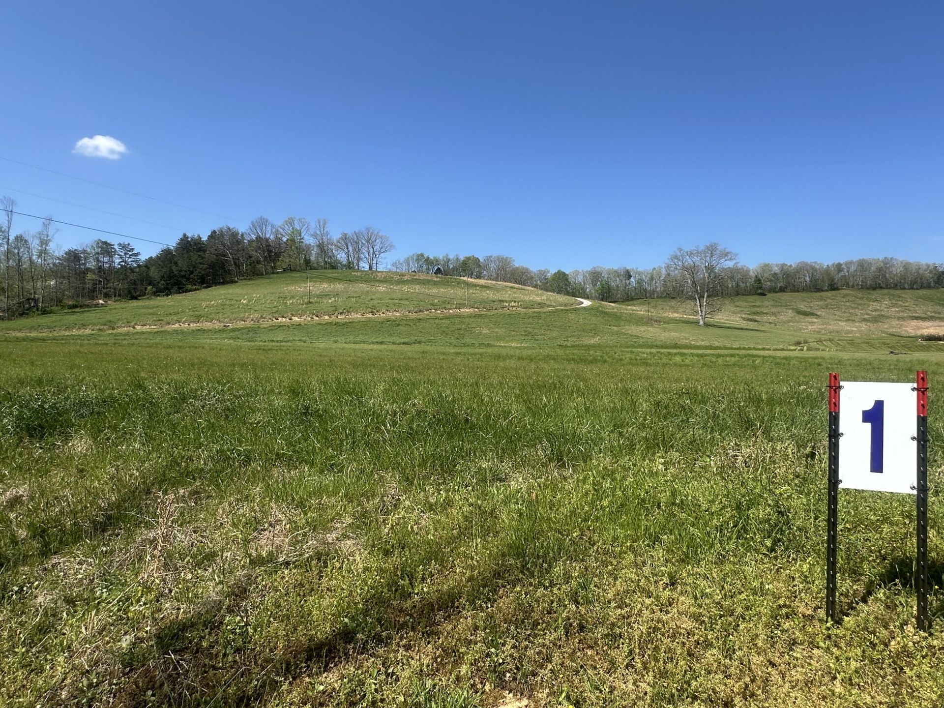 1928 Money Road, Lot #Tract 1, East Bernstadt, KY 40729 Main Photo