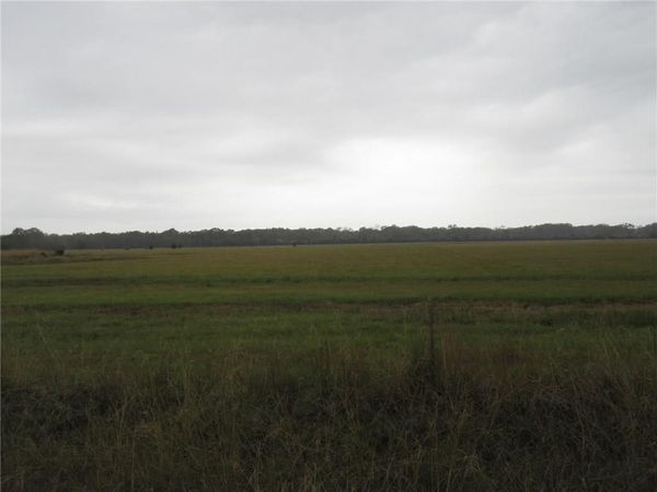 0 Birdnest Road, Lake Charles, LA 70611