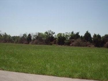 525 Walnut Meadow Road, Berea, KY 40403