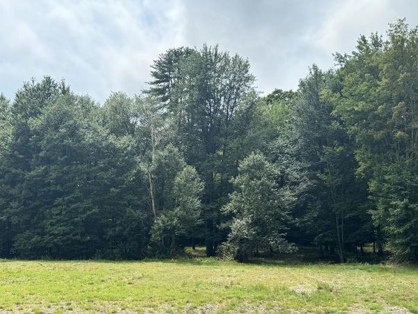 Stow Drive, Unit 012-A001-021 2.33 Acres, Chesterfield, NH 03466
