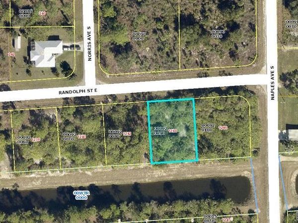 1244 Randolph Street, Lehigh Acres, FL 33974
