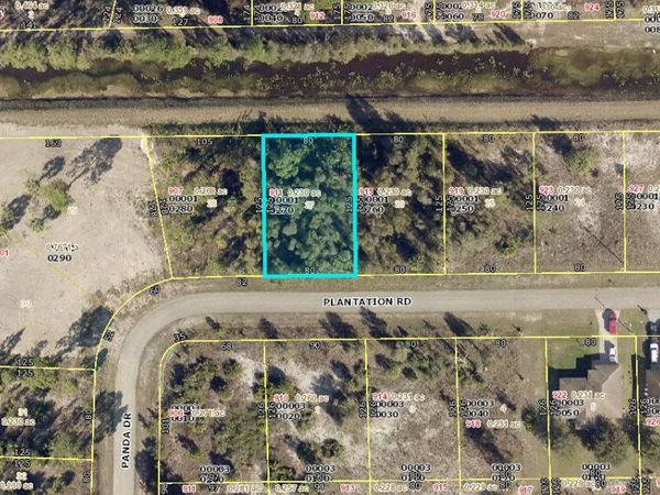 911 Plantation Road, Lehigh Acres, FL 33974