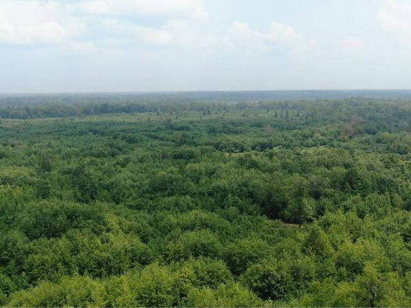 Metes & Bounds Calhoun, Hampton, AR 71744