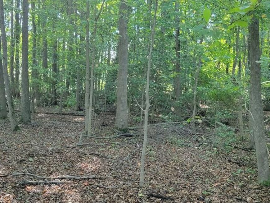 Beech Lane, Lot #PARCEL 27, Accokeek, MD 20607 Main Photo