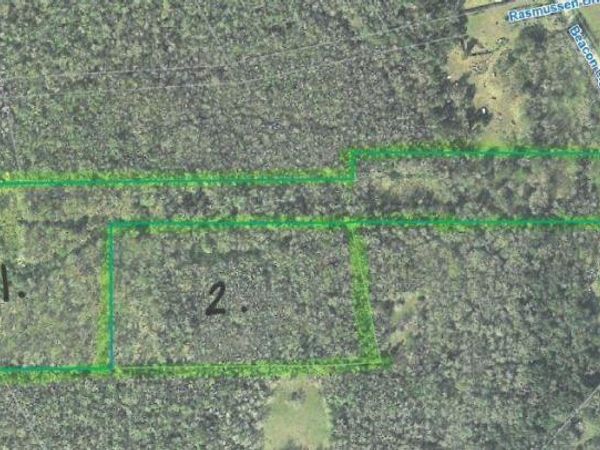 BEACON LIGHT ROAD, EDGEWATER, FL 32141