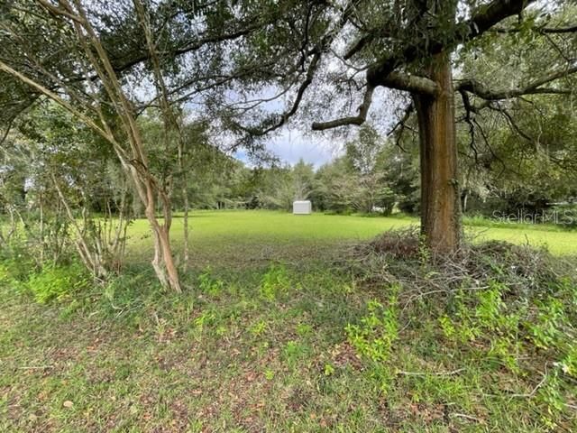 16313 NW Us Highway 441, Alachua, FL 32615 Photo